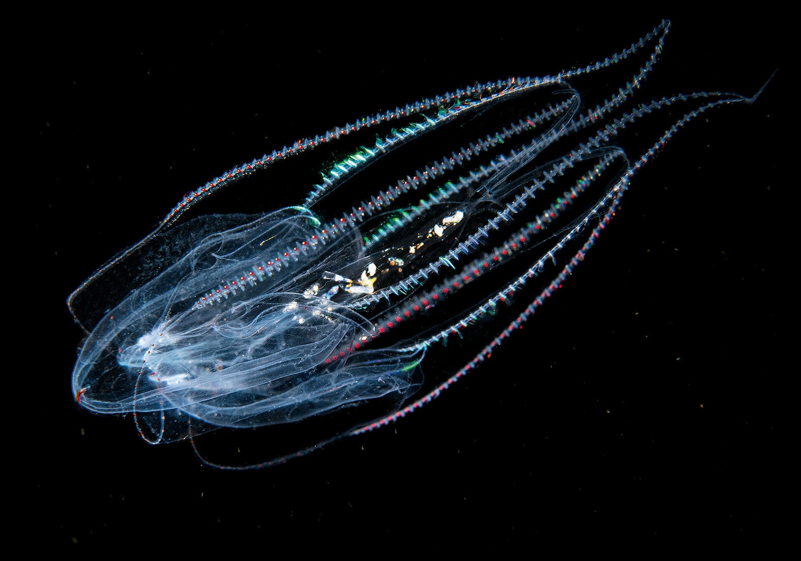 Manfred Wakolbinger Smolka Contemporary