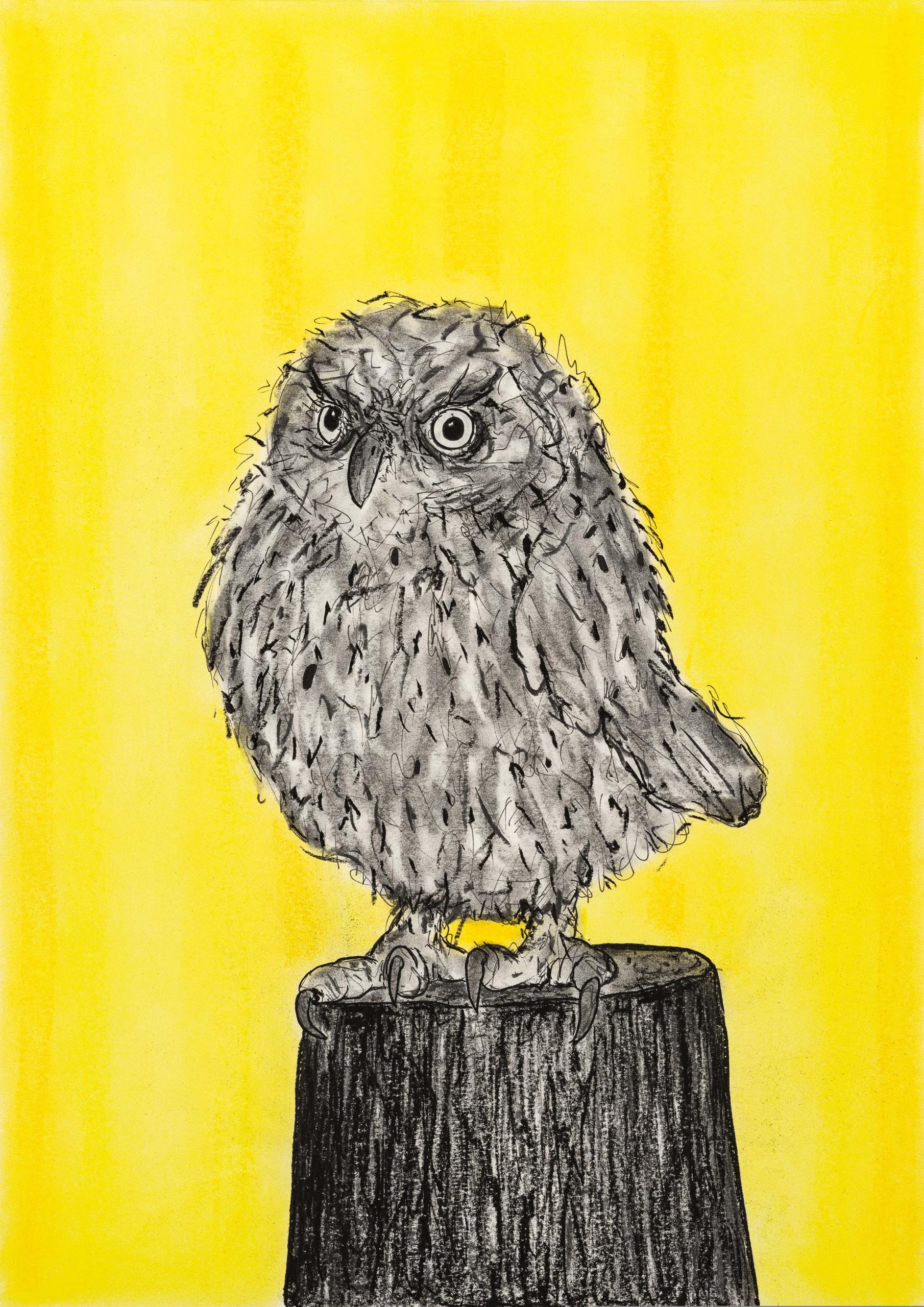 Markus Redl Smolka Contemporary Drawing