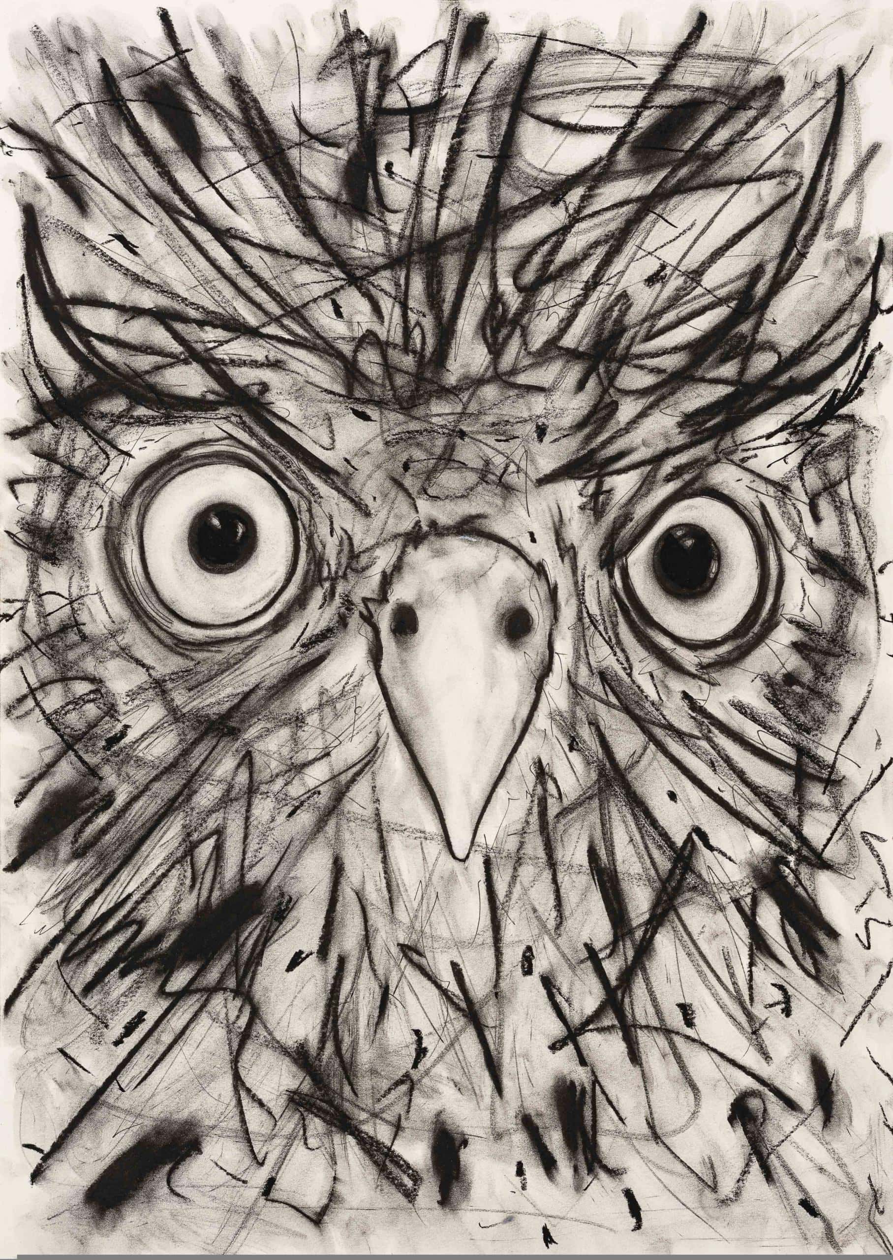 Markus Redl Smolka Contemporary Drawing