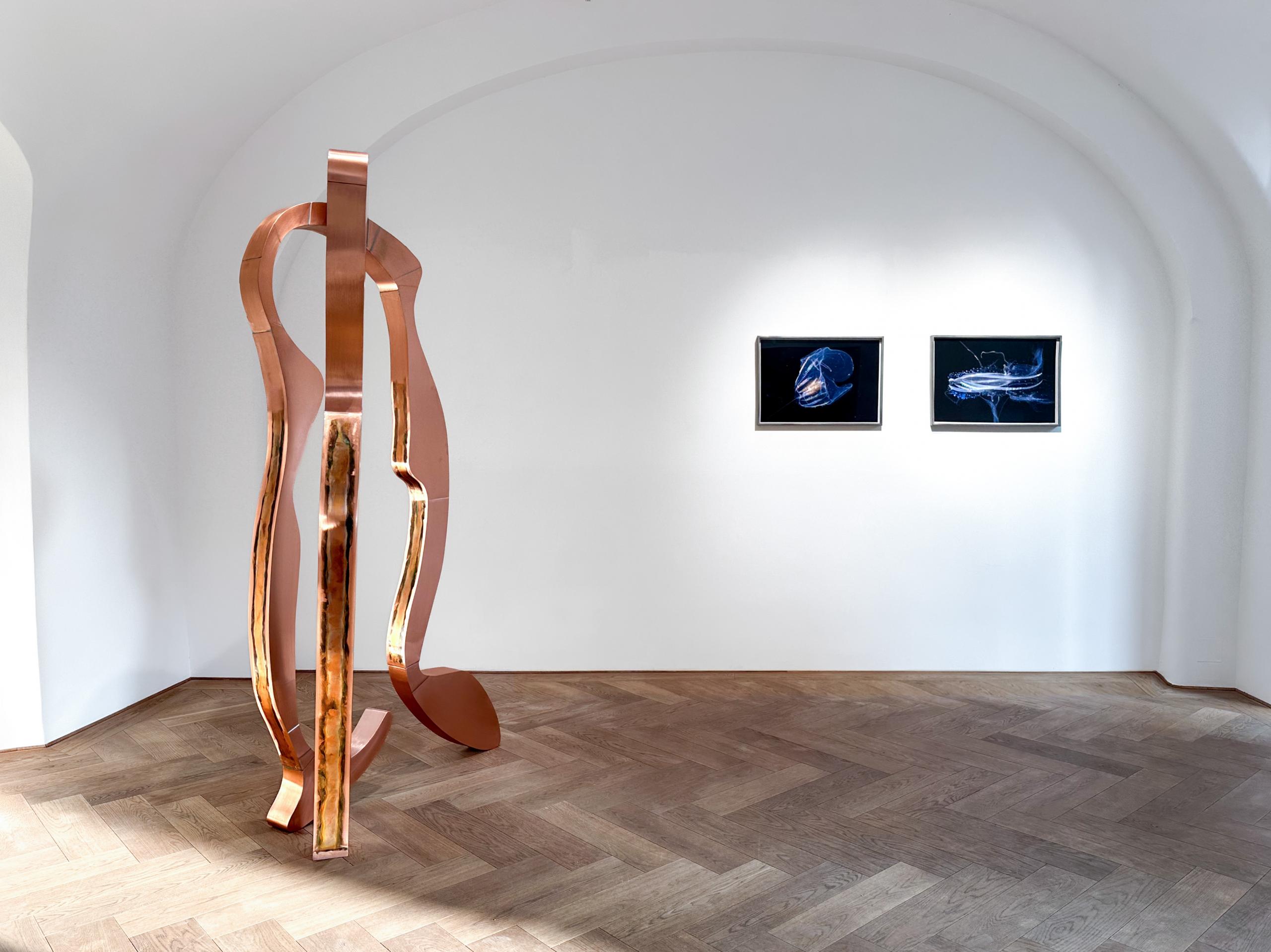 Manfred Wakolbinger Smolka Contemporary