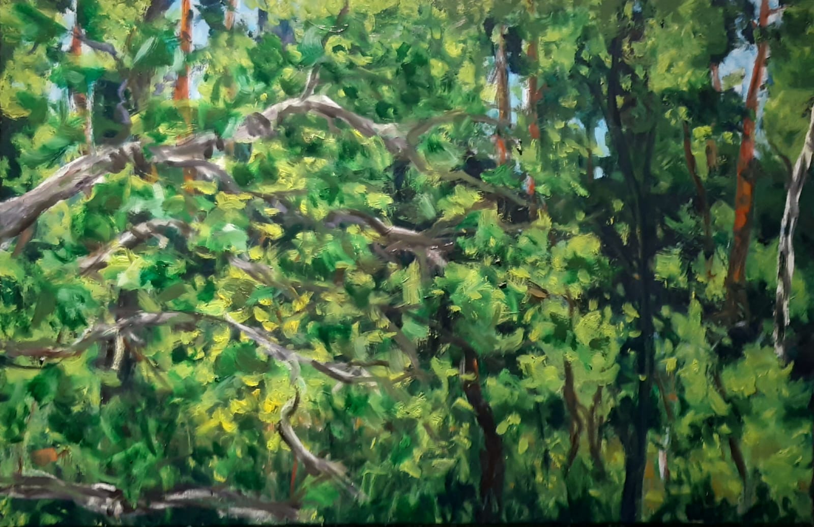 Ferdinand Melichar Smolka Contemporary